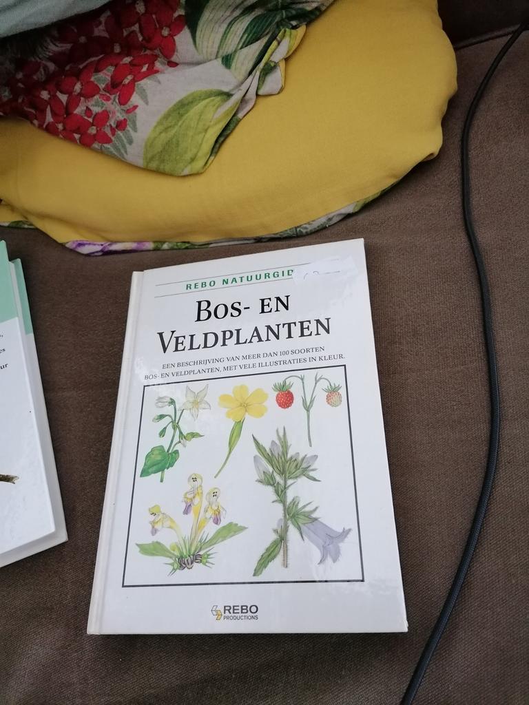 Bos en veldplanten Rebo boek ephemera snailmail, Boeken, Ophalen of Verzenden, Gelezen