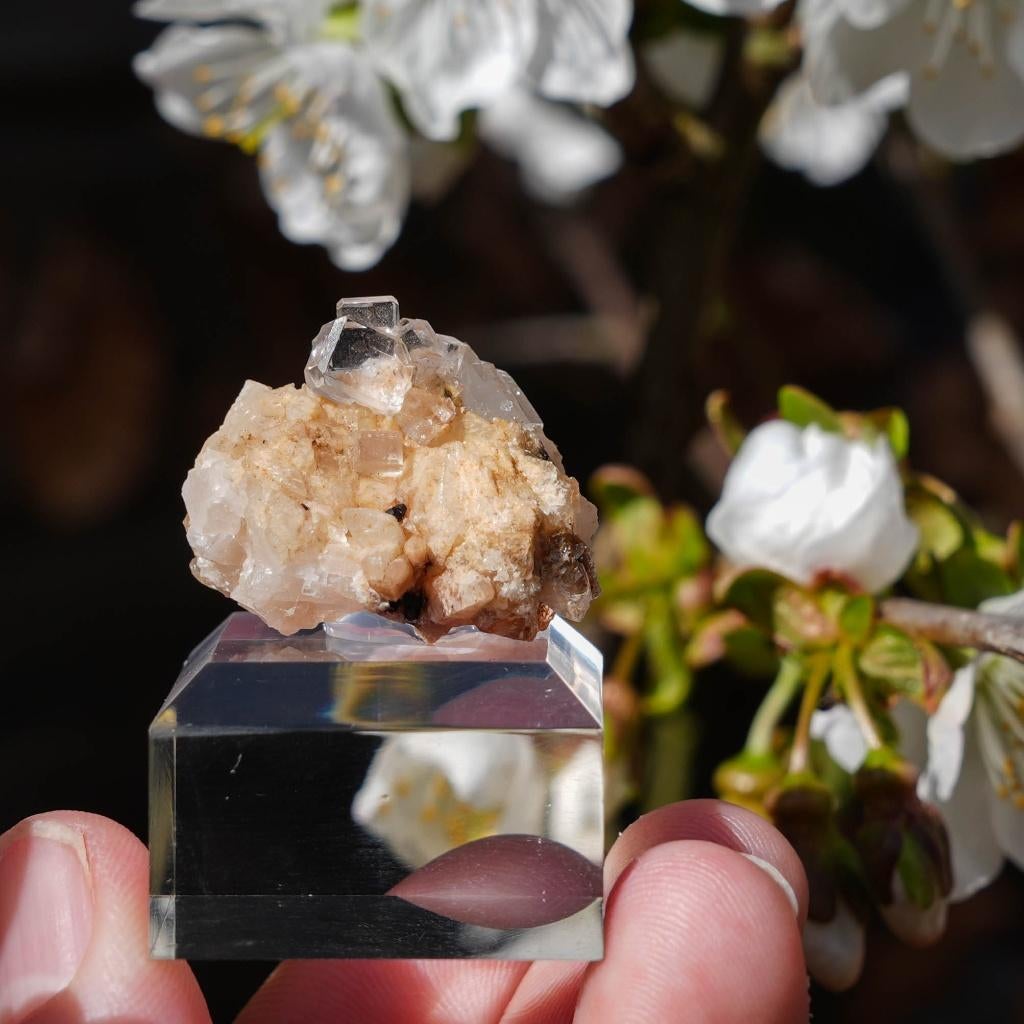 Fluoriet uit Cordoba, Ophalen of Verzenden, Mineraal