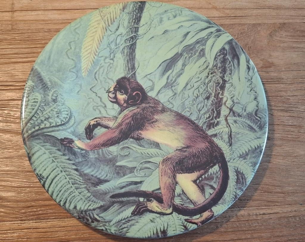 Jungle aapje bord, Ophalen, Zo goed als nieuw