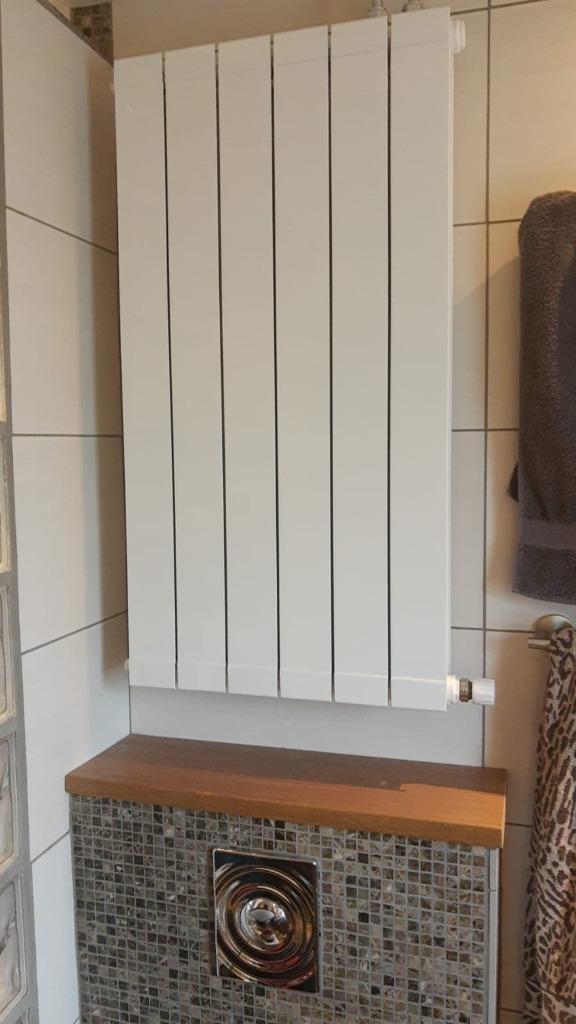 Design HYBRIDE | LTV radiatoren | Aluminium |Stadsverwarming, Doe-het-zelf en Verbouw, Verwarming en Radiatoren, Ophalen, Hoog rendement (Hr)