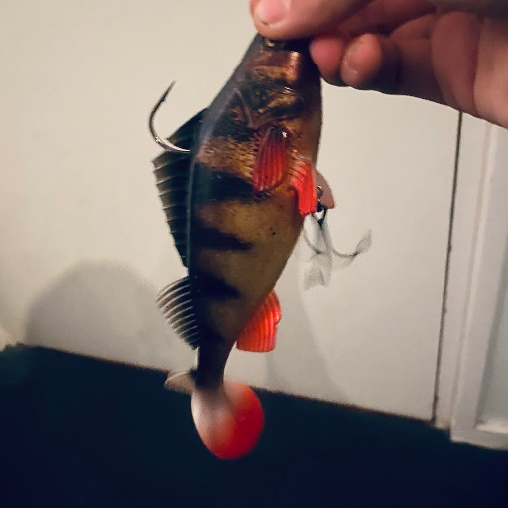 Snoek aas, Ophalen, Zo goed als nieuw