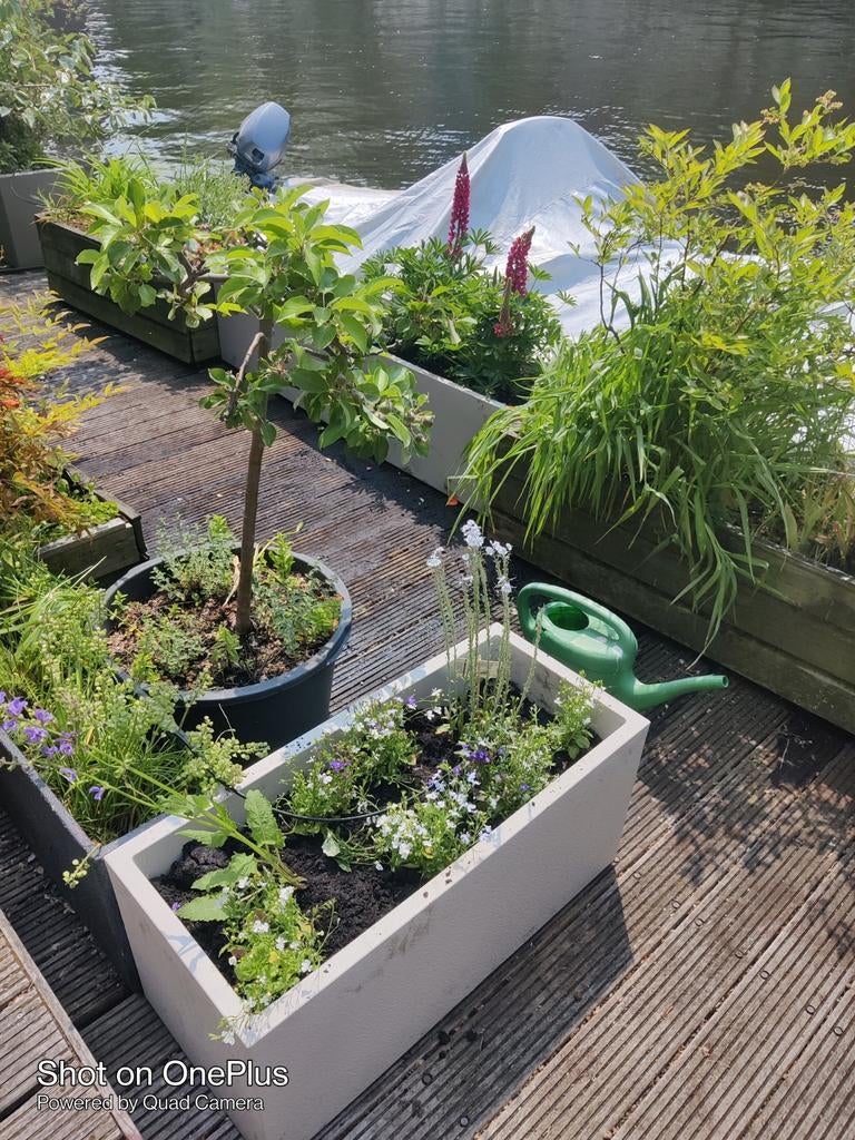 Houseboat for rent max 1 week, 50 m² of meer, Amsterdam