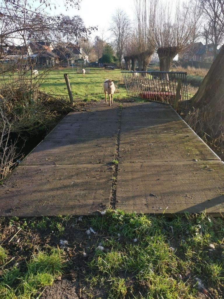 Stevige loopbrug ( over water ), Ophalen