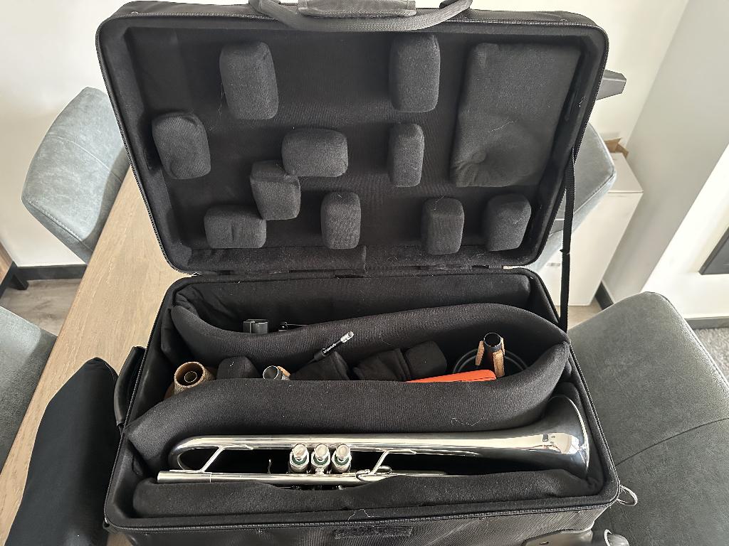 Protec Triple Horn IPAC Case (IP301TWL), Ophalen of Verzenden, Zo goed als nieuw, Overige typen