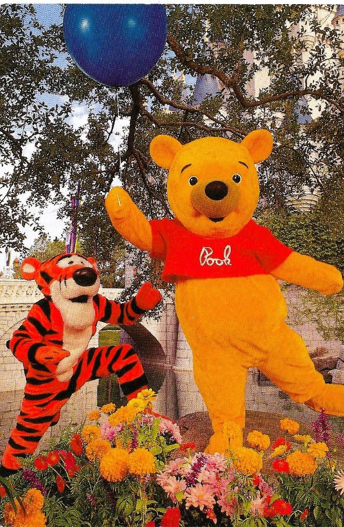 Ansichtkaart	Winnie the Pooh & Tigger	Walt Disney World, Verzenden, 1980 tot heden, Ongelopen, Sterren en Beroemdheden