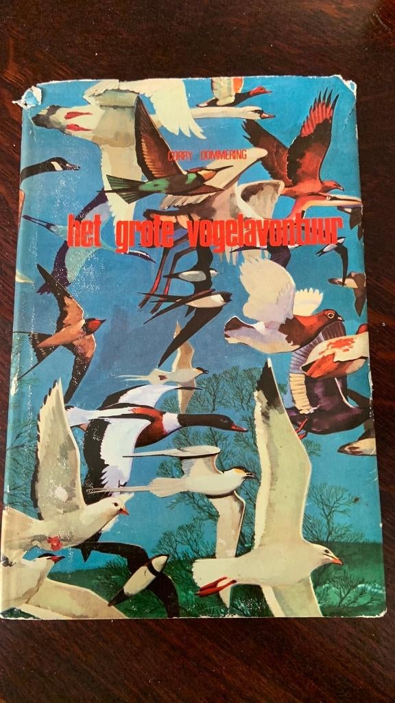 Het grote vogelavontuur - Corry Dommering, Boeken, Ophalen of Verzenden