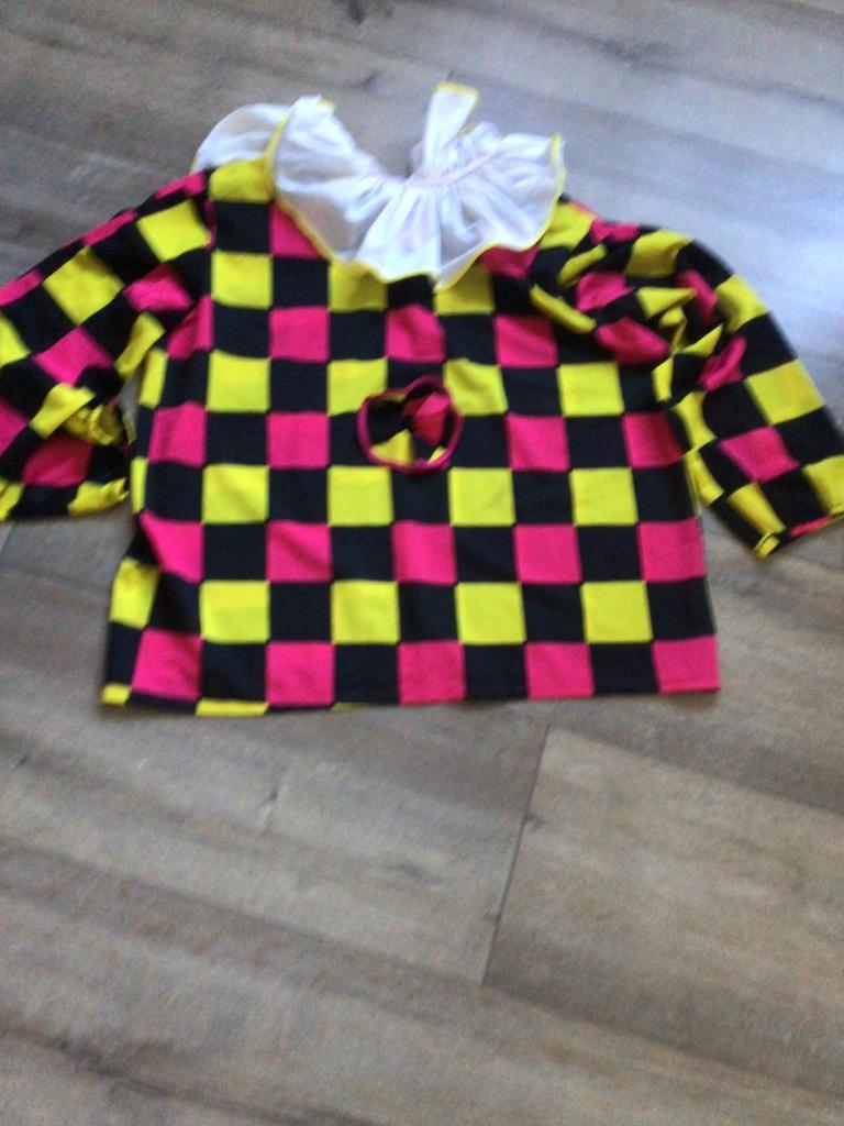 Carnavalskiel, Maat 38/40 (M), Carnaval, Ophalen of Verzenden, Kleding