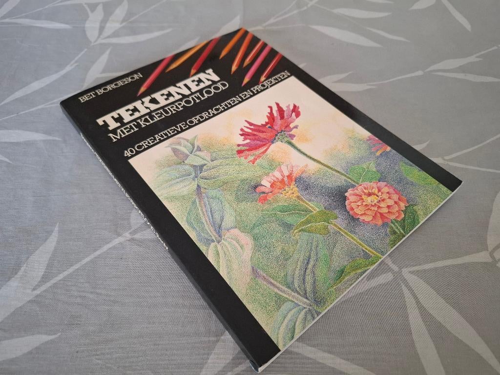 TEKENEN MET KLEURPOTLOOD - Bet Borgeson, Boeken, Ophalen of Verzenden, Zo goed als nieuw, Tekenen en Schilderen