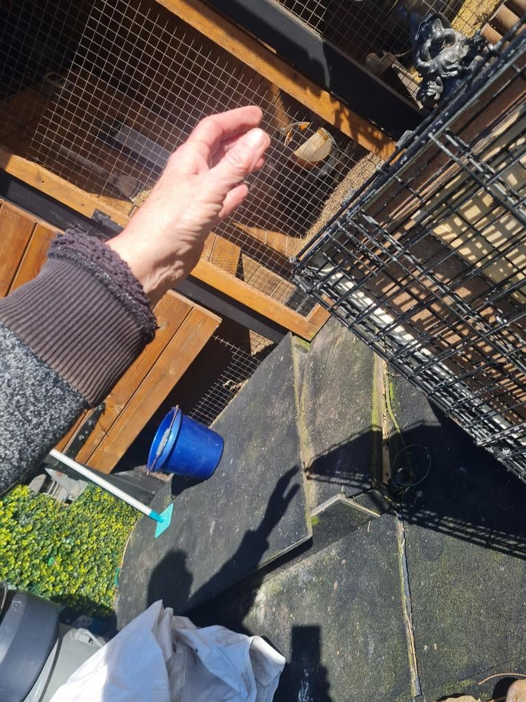 Bench gratis ophalen, Ophalen, Gebruikt