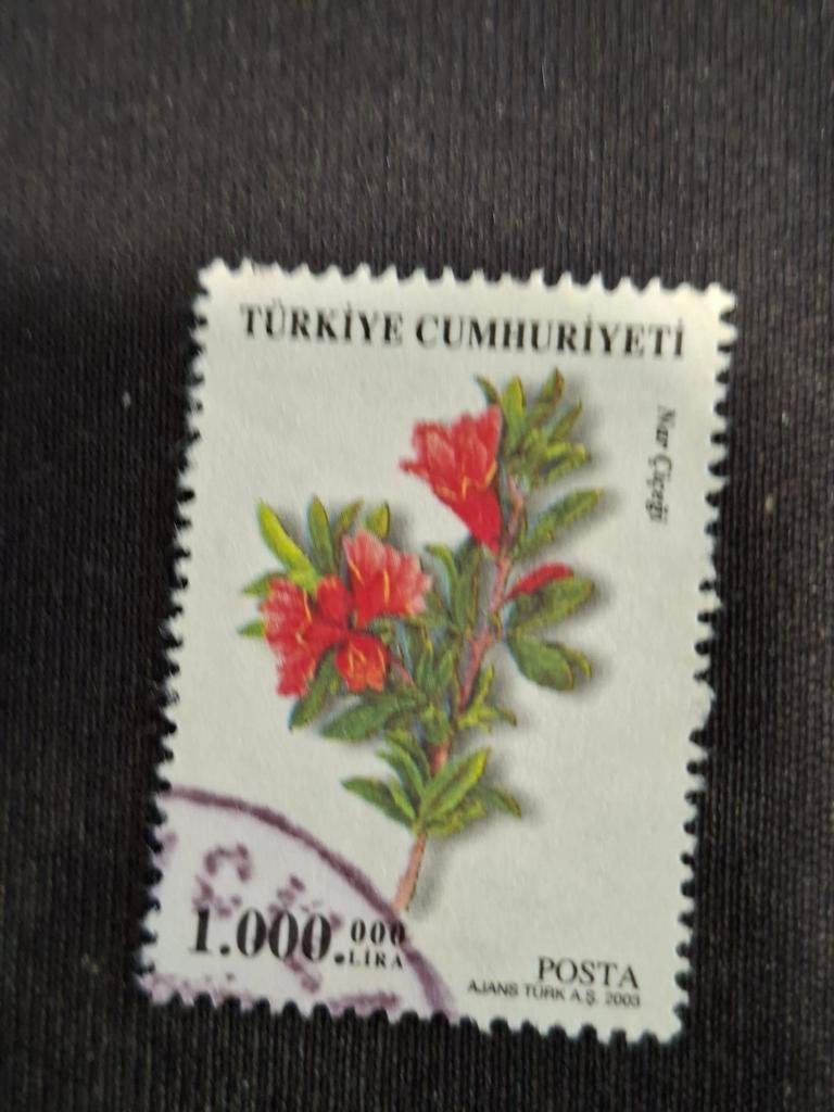 Turkije, Ophalen of Verzenden, Overige landen, Gestempeld