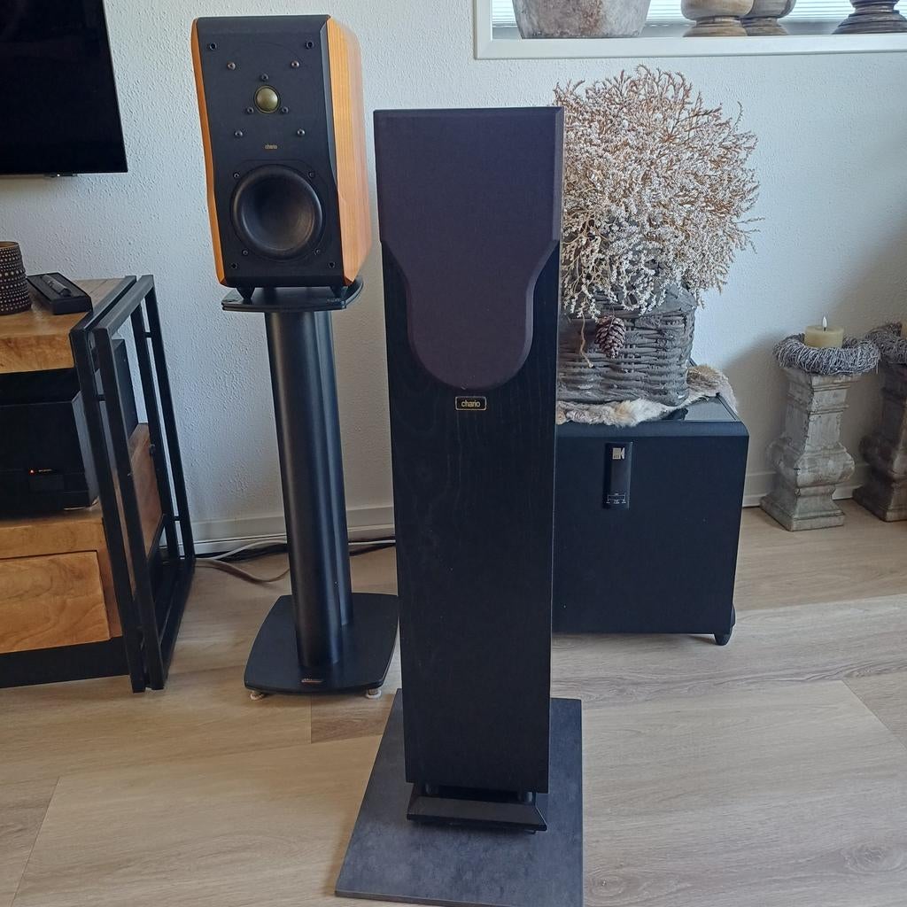 Chario syntar 100t, Audio, Tv en Foto, Luidsprekers, Ophalen, Front, Rear of Stereo speakers, Overige merken