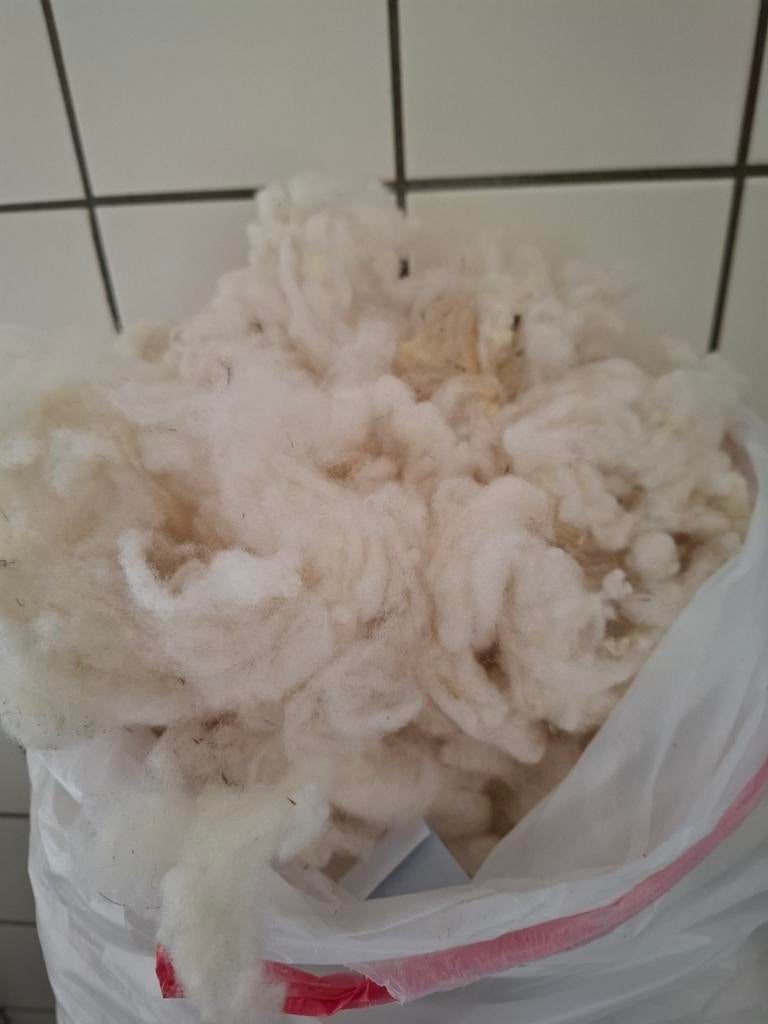 Lamswol gewassen van Kerry Hill,  voor  spinnen, Ophalen of Verzenden, Spinwol