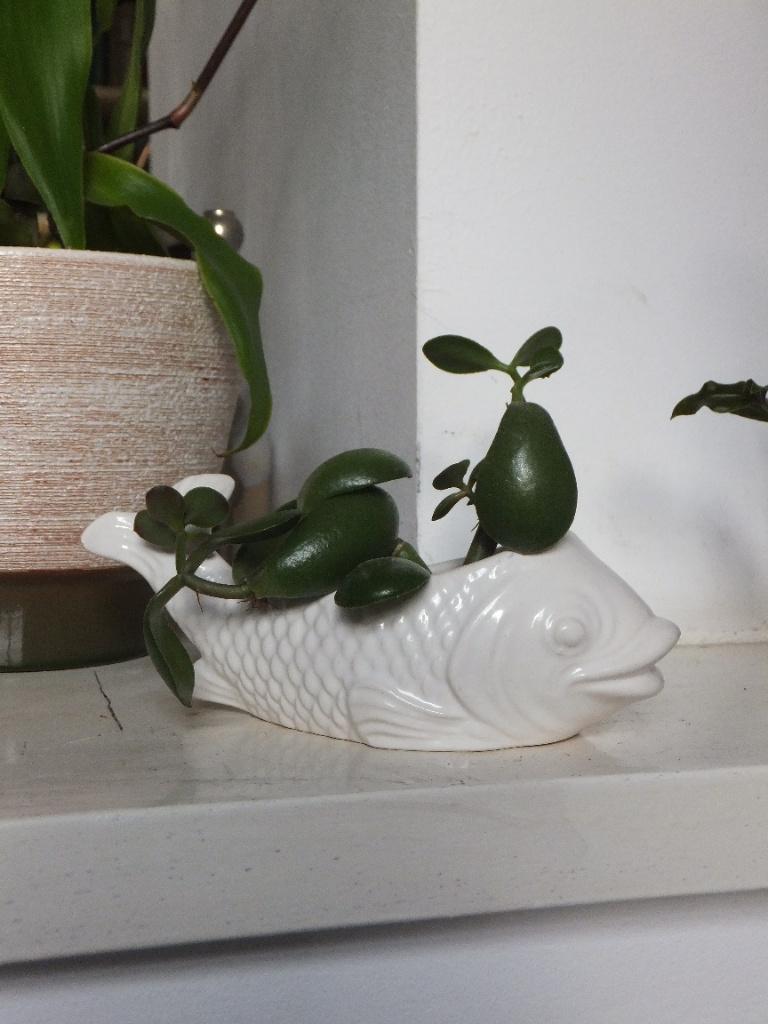 grappig vintage beeldje, bloempotje vis karper jema holland, Ophalen