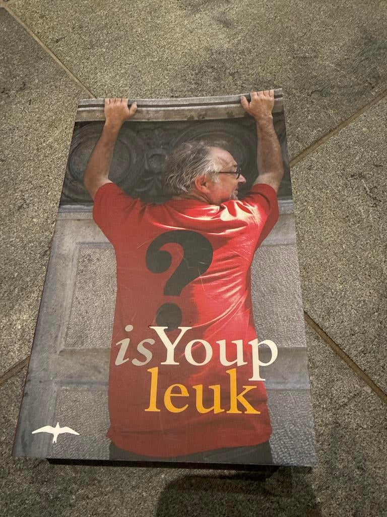 Is Youp Leuk - Boek van Youp van 't Hek, Boeken, Ophalen of Verzenden, Gelezen, Nederland