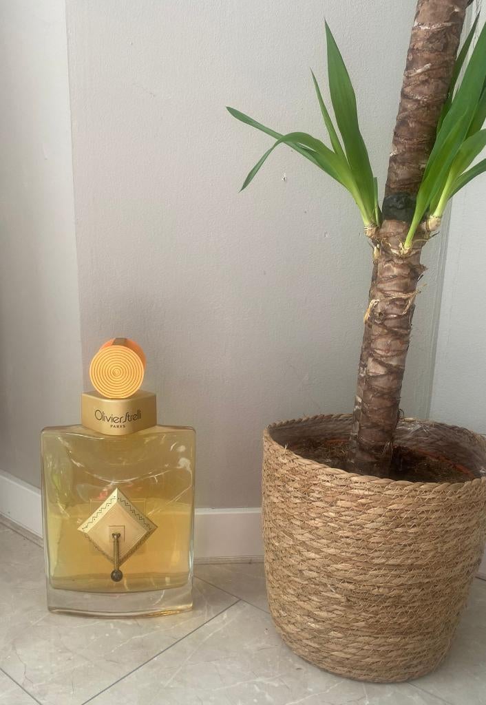 Olivier Strelli giant fractice, Ophalen, Zo goed als nieuw