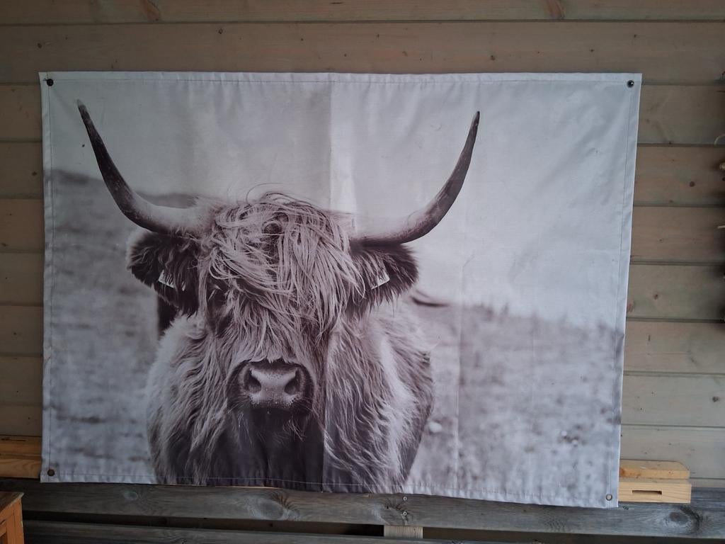 Tuinposter Schotse Hooglander - Zwart-wit, Tuin en Terras, Tuinwanddecoratie, Ophalen of Verzenden