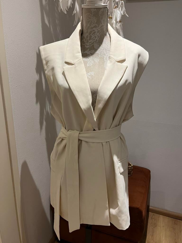 Gilet NIEUW met prijskaartje, Overige kleuren, Verzenden, Maat 46/48 (XL) of groter, Nieuw