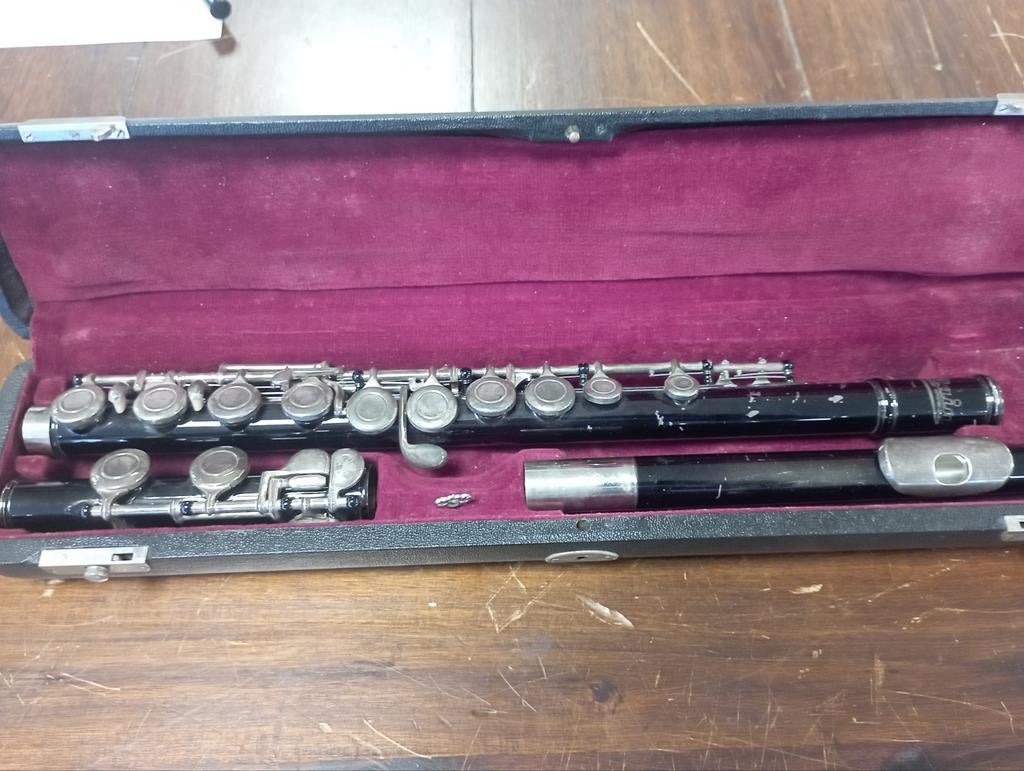 Zwarte Dwarsfluit, Ophalen of Verzenden, Gebruikt