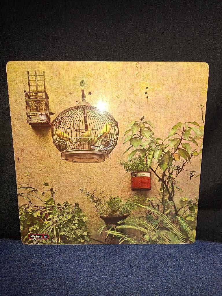 Agfa color poster EXP 54, Ophalen, Gebruikt, Reclamebord