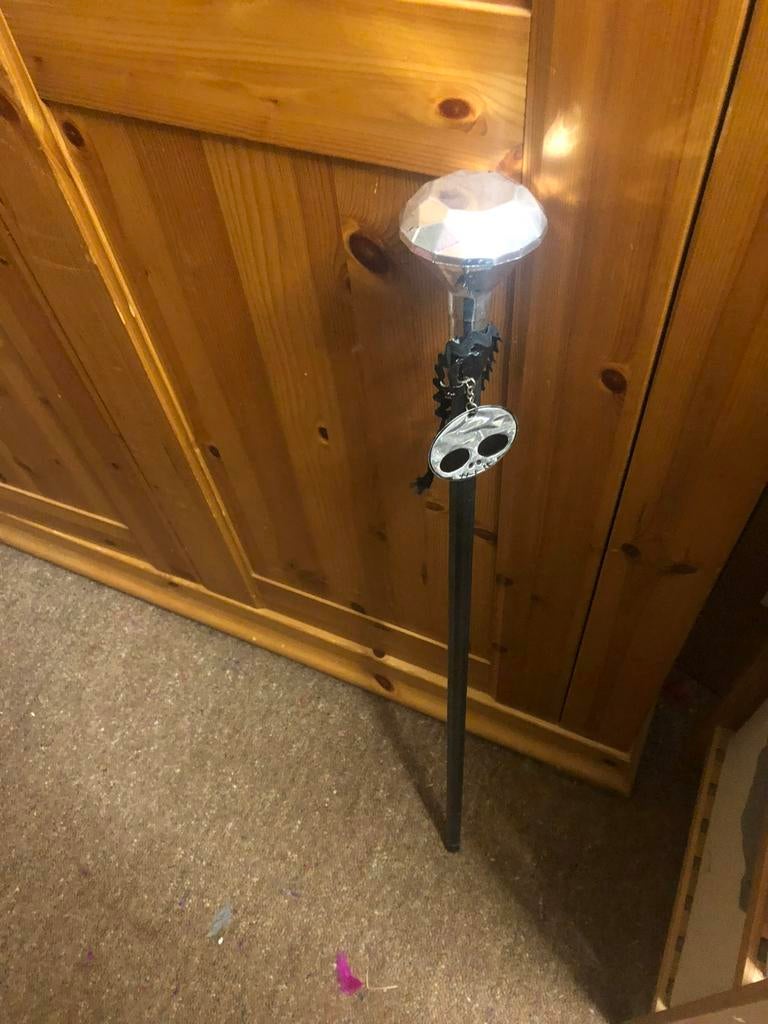 Decoratie/wandelstok carnaval, Ophalen, Zo goed als nieuw, Carnaval