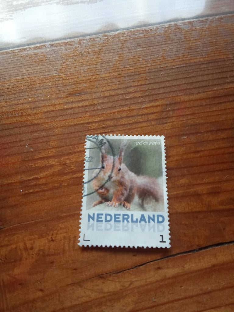 Nederlandse postzegel 'eekhoorn' - Gestempeld, Ophalen of Verzenden
