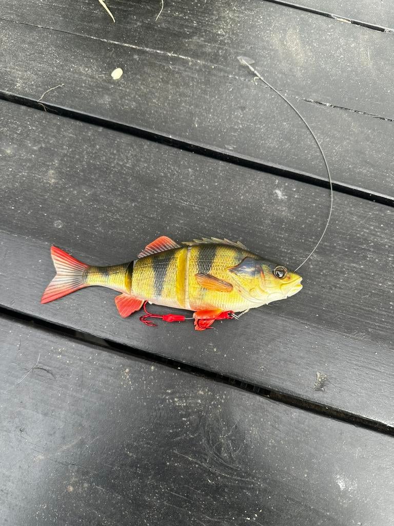 Savage gear line thru perch groot, Watersport en Boten, Hengelsport | Roofvissen, Ophalen of Verzenden, Zo goed als nieuw, Overige typen