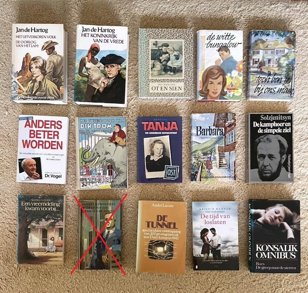 Partij Boeken (ook per stuk te koop), Ophalen of Verzenden, Zo goed als nieuw, Verschillende onderwerpen