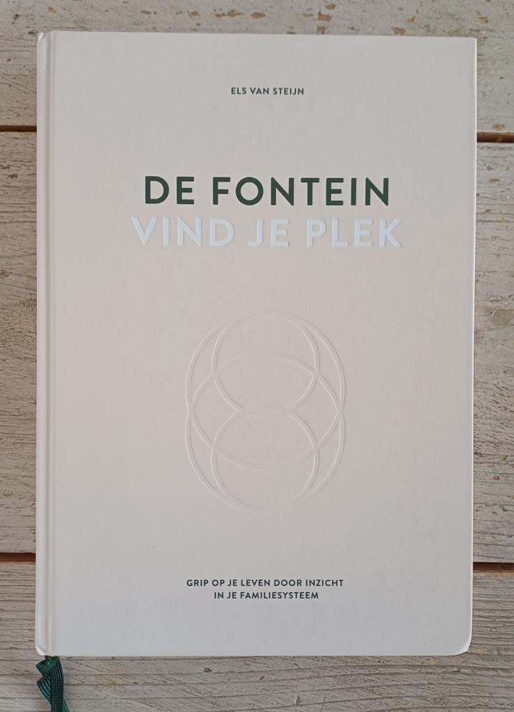 Els van Steijn - De fontein, vind je plek, Boeken, Ophalen of Verzenden, Els van Steijn, Ontwikkelingspsychologie, Zo goed als nieuw
