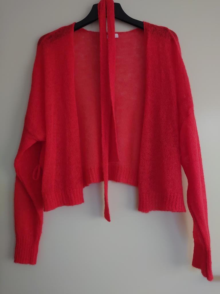 vest Freebird maat L, Verzenden, Maat 42/44 (L), Zo goed als nieuw, Freebird