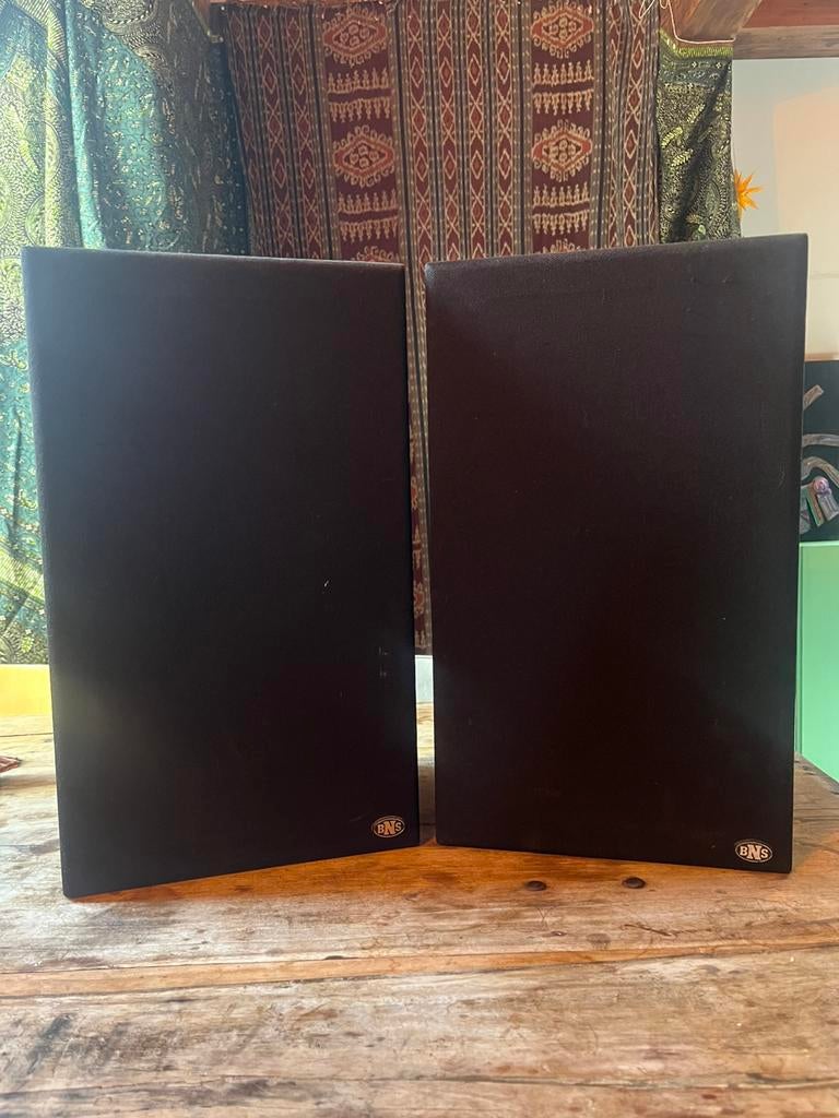 BNS speakers, Gebruikt, 60 tot 120 watt, Front, Rear of Stereo speakers, Ophalen