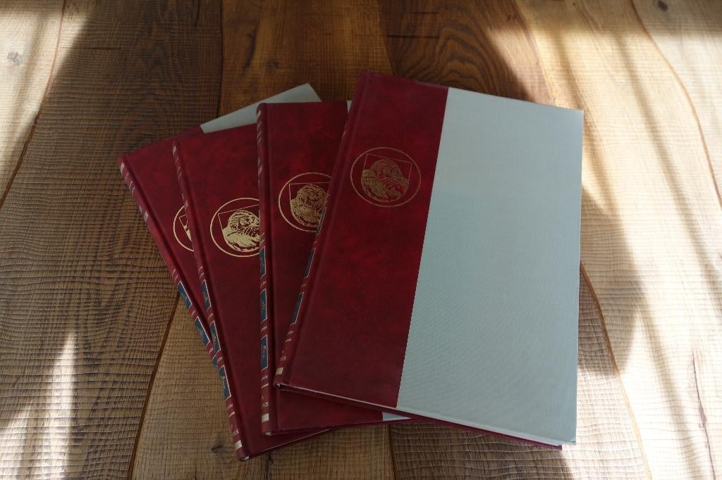 Jaap ter Haar: Geschiedenis van de Lage Landen, Boeken, Ophalen of Verzenden, Zo goed als nieuw