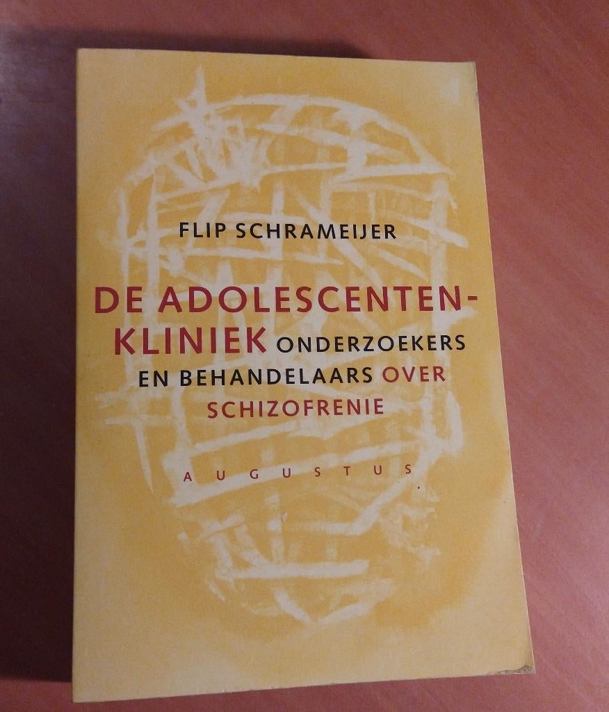 Flip Schrameijer - De adolescentenfabriek, Ophalen of Verzenden, Zo goed als nieuw, Sociale psychologie