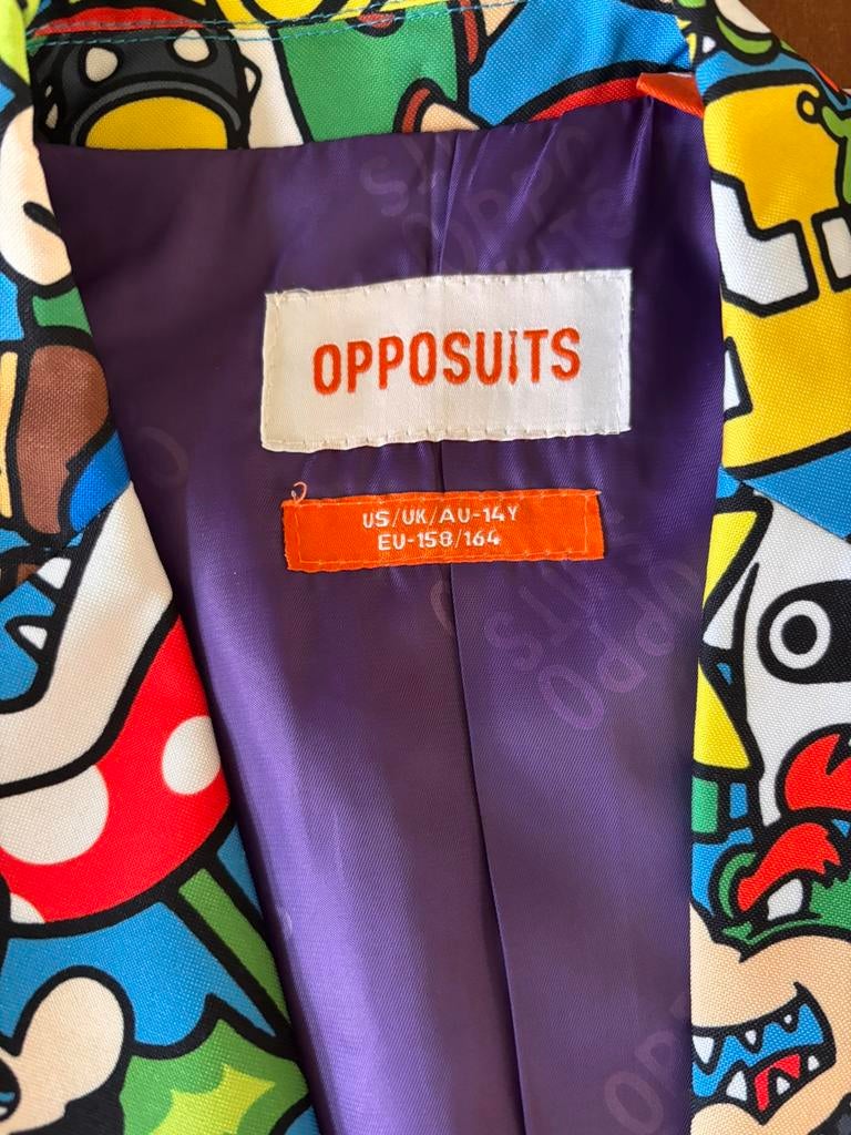 Carnaval jongens - oppo pak mario, Kleding | Heren, Ophalen, Zo goed als nieuw