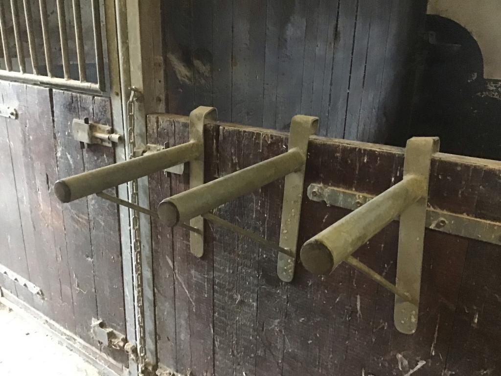 Zadeldrager, Dieren en Toebehoren, Ophalen, Gebruikt, Overige soorten