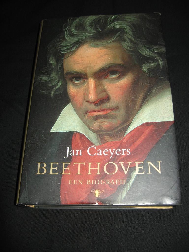 Beethoven biografie, Boeken, Ophalen of Verzenden, Zo goed als nieuw, Kunst en Cultuur
