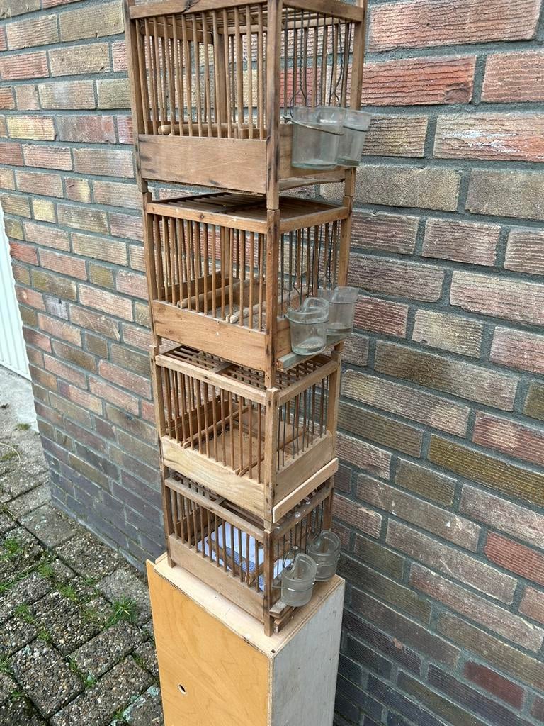 Zang Vogel kooien, Dieren en Toebehoren, Vogels | Hokken en Kooien, Ophalen, Hout, Vogelkooi
