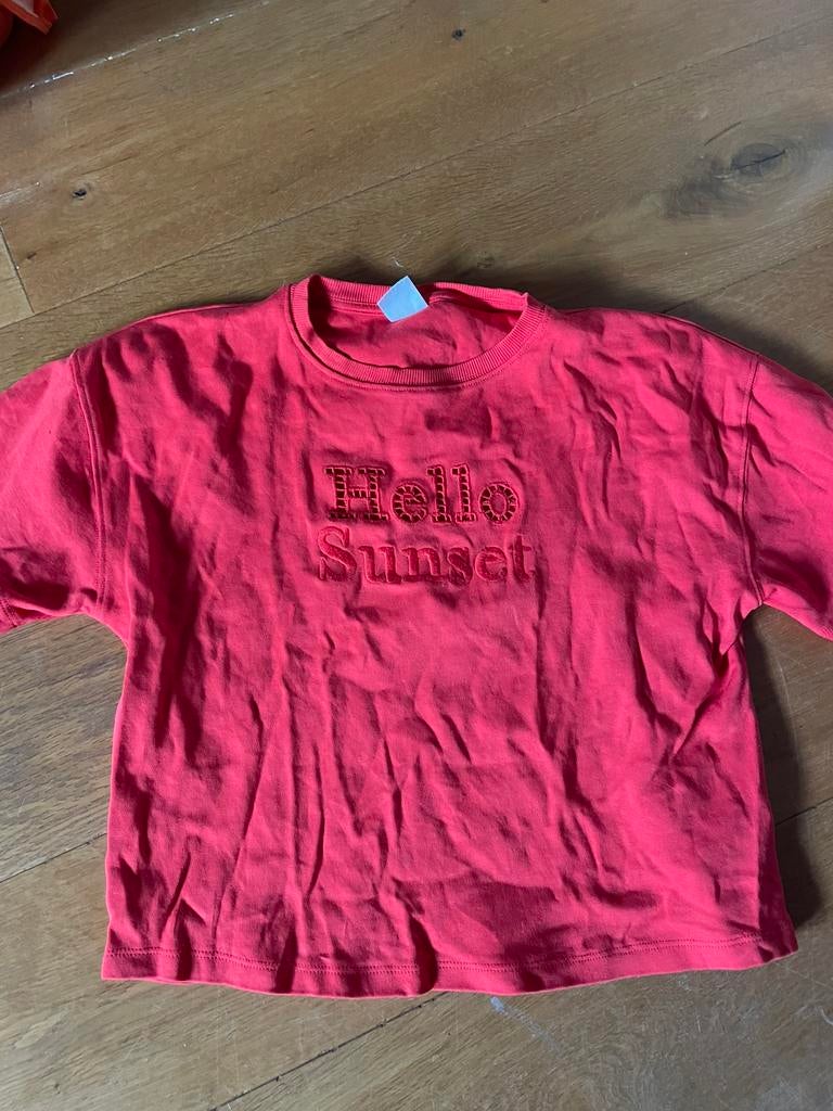 Nieuw ** Zara ** trui mt 164, Ophalen of Verzenden, Nieuw, Meisje, Trui of Vest