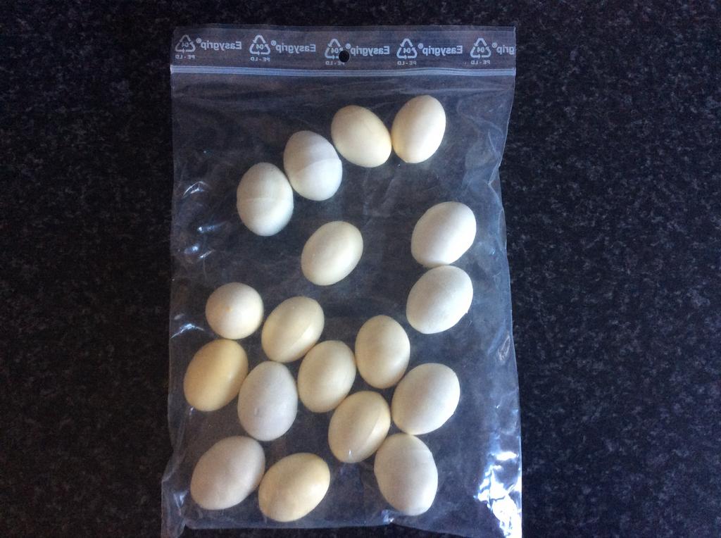 Kunsteieren Broedeieren 18 stuks, Ophalen of Verzenden, Zo goed als nieuw, Overige typen