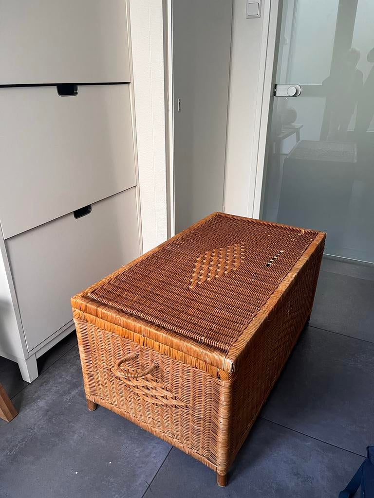 Rotan kist met deksel, Huis en Inrichting, Woonaccessoires | Kisten, Overige materialen, Gebruikt, 50 tot 100 cm, Ophalen of Verzenden