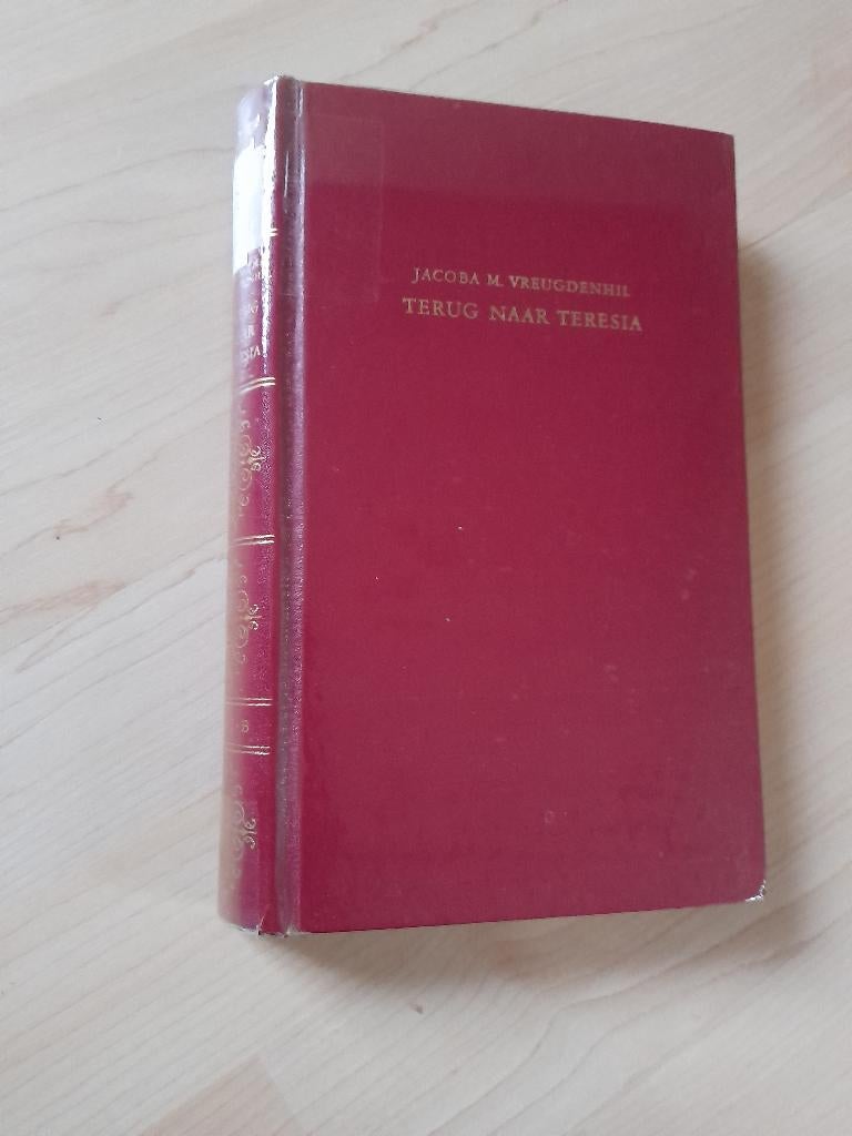 TERUG NAAR TERESIA Jacoba M Vreugdenhil, Boeken, Ophalen of Verzenden, Gelezen