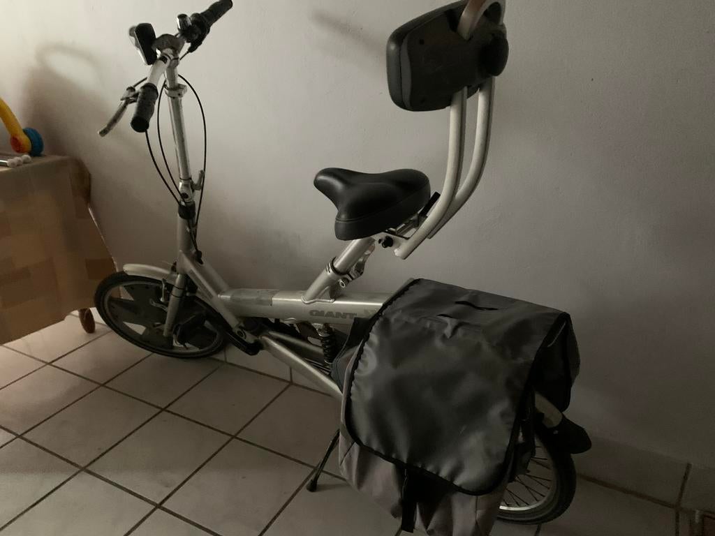 Giant revive fiets, Fietsen en Brommers, Fietsen | Vouwfietsen, Ophalen, Zo goed als nieuw, 20 inch of meer