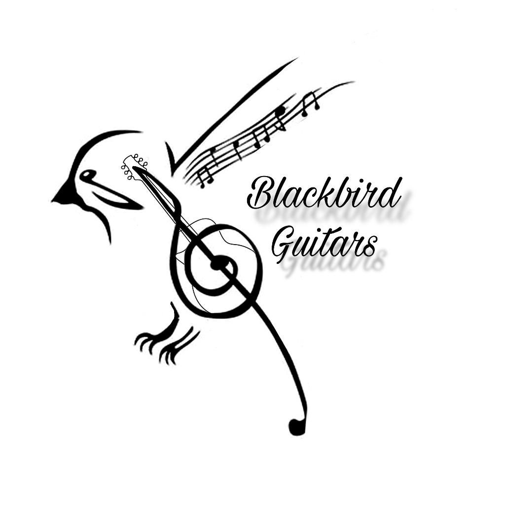 Gitaarles omgeving Oosterwolde (fr), Diensten en Vakmensen, Muziekles en Zangles