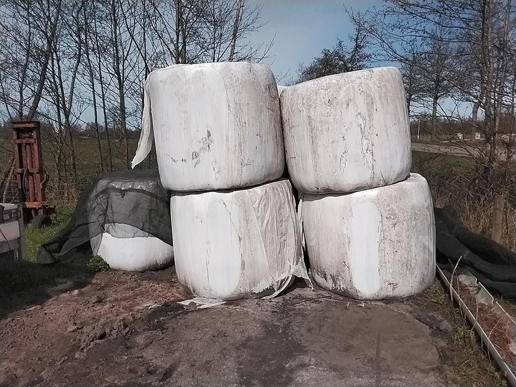 6 kuilbalen, Dieren en Toebehoren, Ophalen, Vee