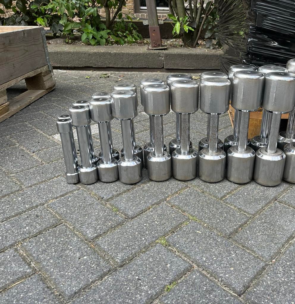 Chrome technogym dumbbells dumbbell set gewichten 1-9 kg, Ophalen, Dumbbell, 1-9 kg, Gewichten