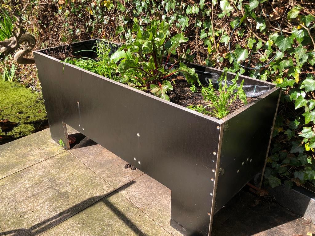 Moestuin plantenbak, Ophalen, Zo goed als nieuw, Rechthoekig, Hout