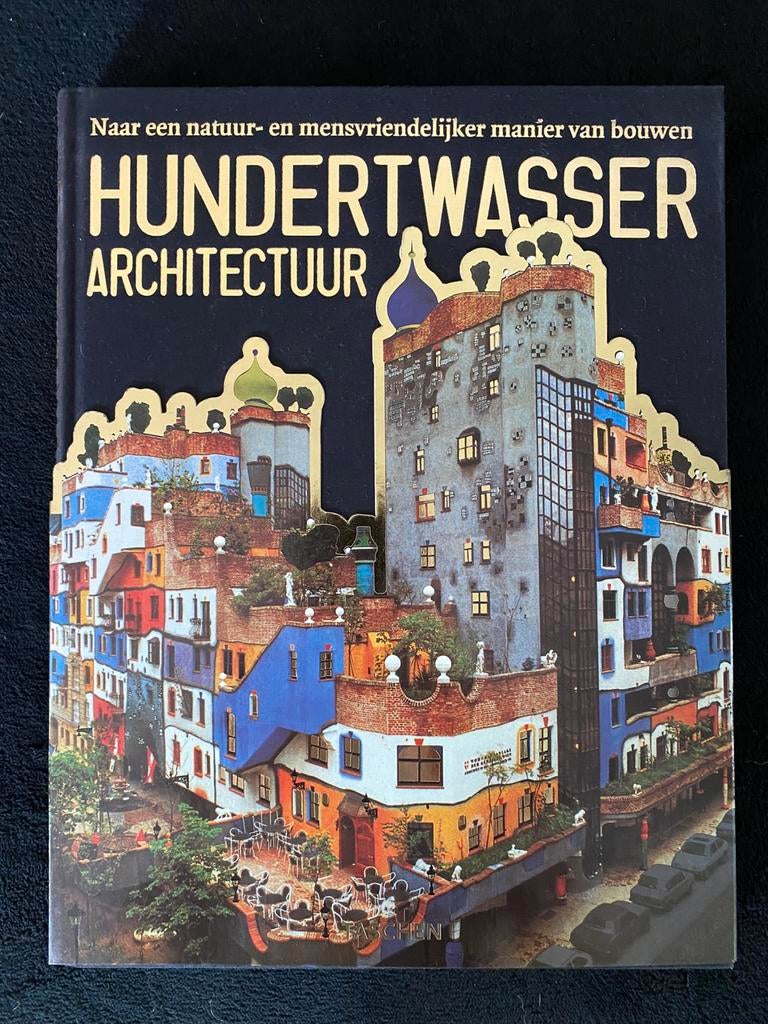 Hundertwasser - Architectuur, Ophalen of Verzenden, Zo goed als nieuw, Architecten