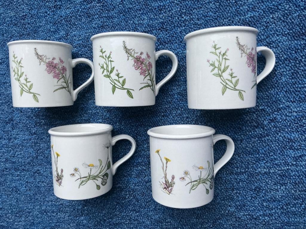 5 kop en 5 schotels. Portmeirion Queens Hidden Garden, Ophalen of Verzenden, Zo goed als nieuw, Overige stijlen, Kop(pen) en/of Schotel(s)