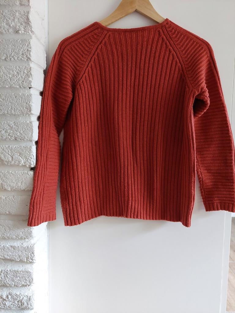 Trui roestkleur, Kleding | Dames, Truien en Vesten, Ophalen of Verzenden, Gedragen, Maat 38/40 (M)