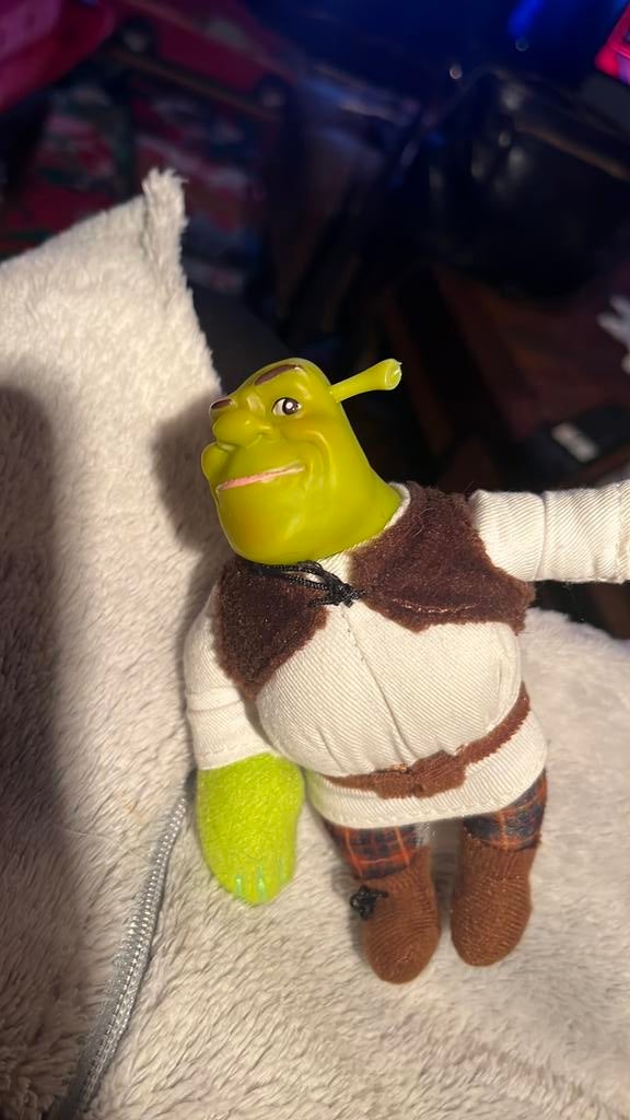 Shrek popje, Ophalen of Verzenden, Zo goed als nieuw, Overige typen