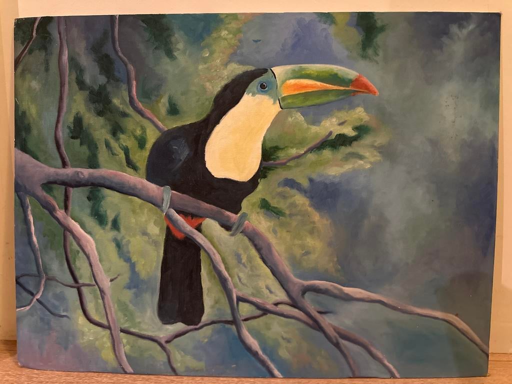 Origineel Toekan schilderij 60 x 45 cm, Ophalen of Verzenden